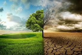 Images (1)
